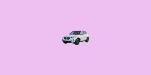 BMW X 시리즈